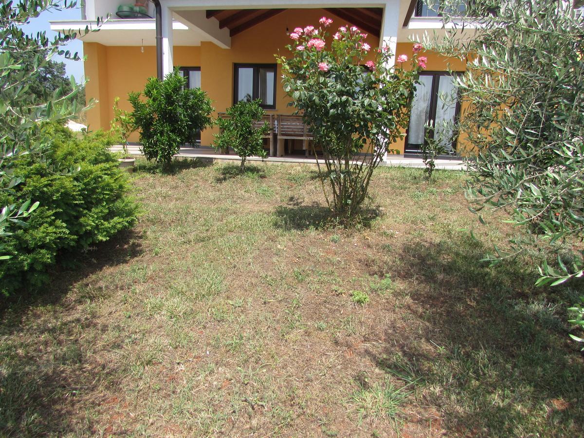 Apartments Goga Umag Exterior foto